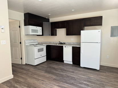 Living Room and Kitchen